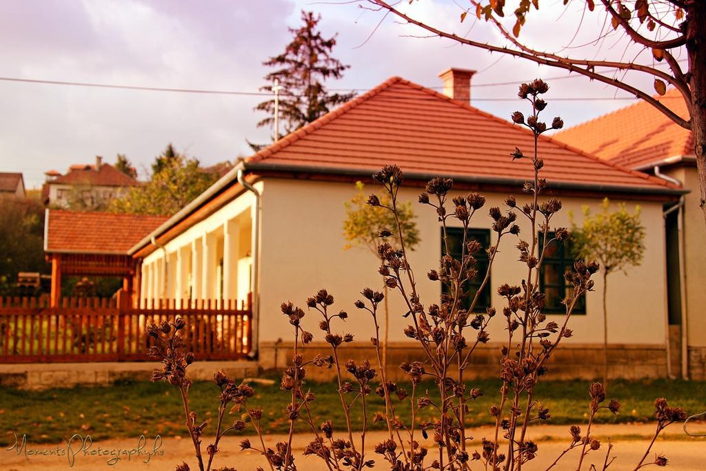 Barta Pince Vendeghaz Mad Ξενοδοχείο Εξωτερικό φωτογραφία